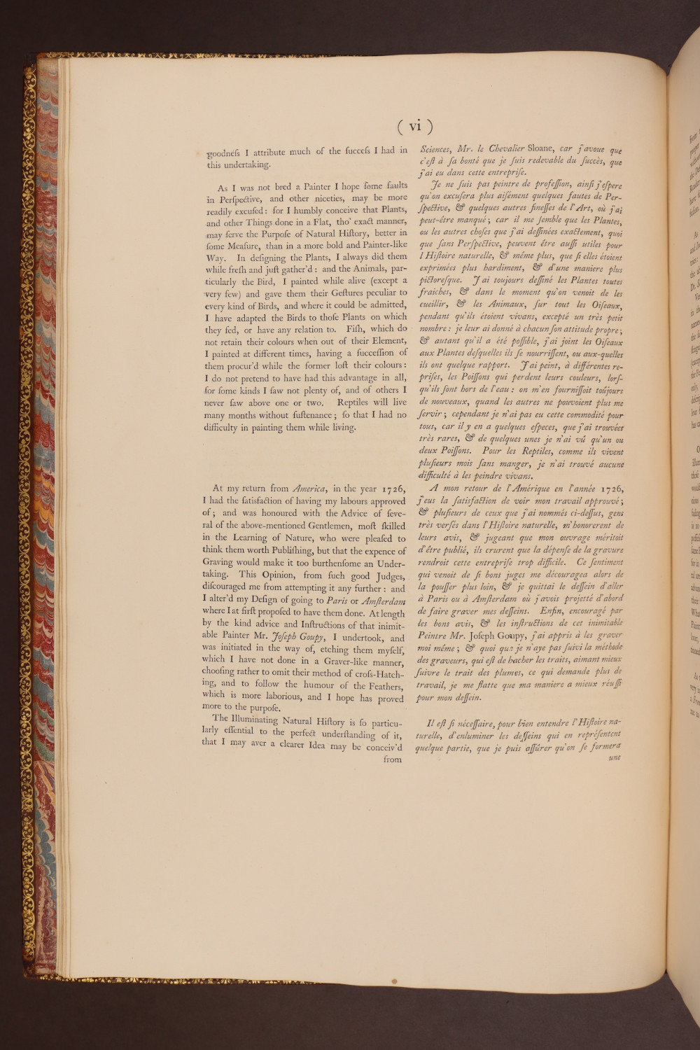 Page vi